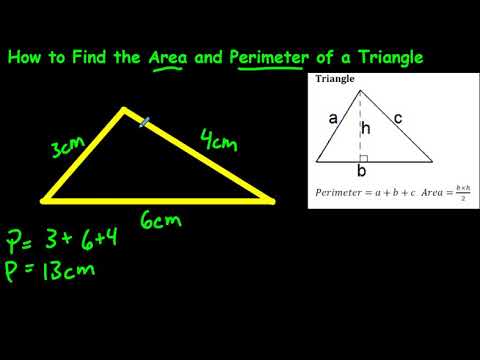 How to Find the Area and Perimeter of a Triangle