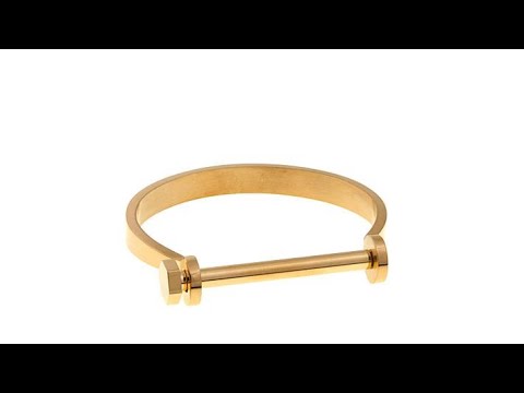 Stately Steel Bangle Bracelet with BoltDesign Clasp