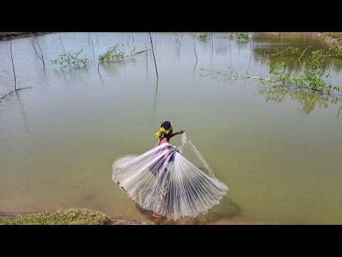 Amazing Net Village Fishing By In River With Beautiful Village Fishing Video