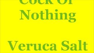 Cock Of Nothing(Veruca Salt) Guitar Cover