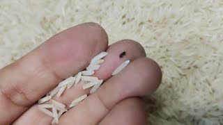 How to get rid of rice weevil (rice bugs or rice insects).چاولوں سے سسری کیسے ختم کر یں؟