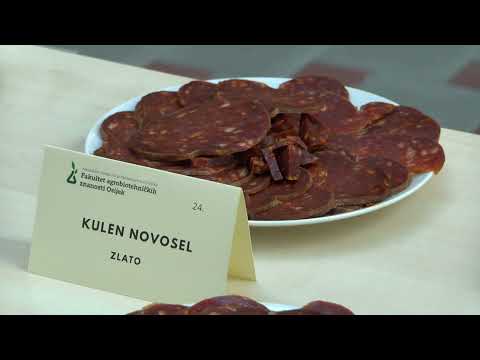 13.7.2022. VIJESTI OSJEČKE TELEVIZIJE