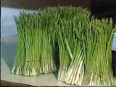 สูตรประชาชนเพื่อความอ่อนแอ Rendez ราคาเชื้อโรคหญิง vous ที่จะซื้อ