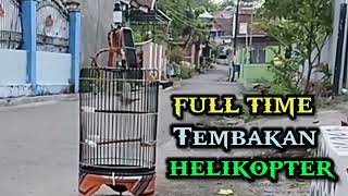 Download lagu MASTERAN SMALL BIRD MAKE GACOR mp3 Download lagu MASTERAN SMALL BIRD MAKE GACOR mp3