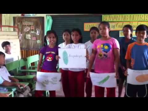 Ehersisyo para sa pagbaba ng timbang tiyan para sa mga kababaihan Walang paghahangad na mawalan ng timbang kung ano ang gagawin