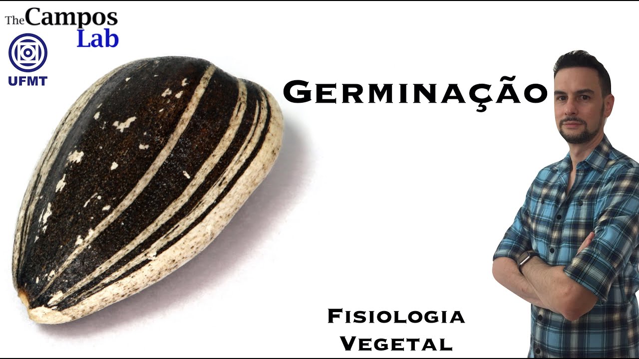 Germinação (1/3): Semente - Estrutura e Função