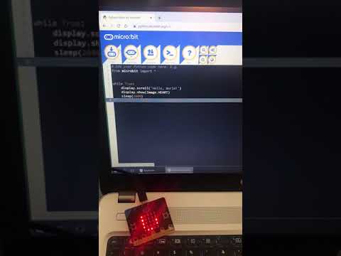 Running Tester Python Code Microbit
