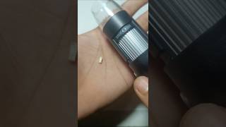 Download lagu What Does This Look Like Under a Microscope? | 1000x Zoom' #shorts 🔬 mp3 Download lagu What Does This Look Like Under a Microscope? | 1000x Zoom' #shorts 🔬 mp3