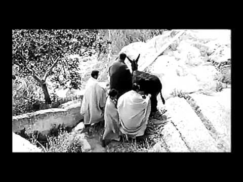 download lagu mp3 mp4 Palm Sunday Meditation, download mp3 Palm Sunday Meditation free download, download mp3 Palm Sunday Meditation