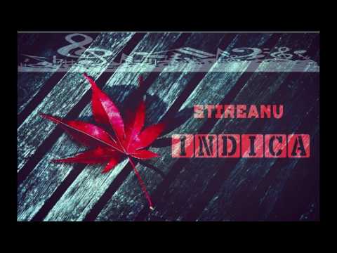 Stireanu - Indica