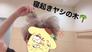 ♣寝起きヤシの木/うらたぬき(cover)