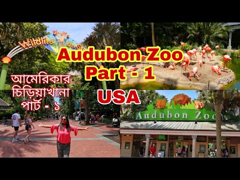 Audubon Zoo New Orleans USA part-1|| আমেরিকার চিড়িয়াখানা দেখতে কেমন? #Banglavlog #Audubonzoo