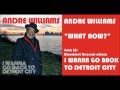 Andre Williams - What Now?
