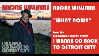 Andre Williams - What Now?