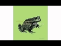 Willard Grant Conspiracy + Telefunk - Just a Little Rain - In The Fishtank 8