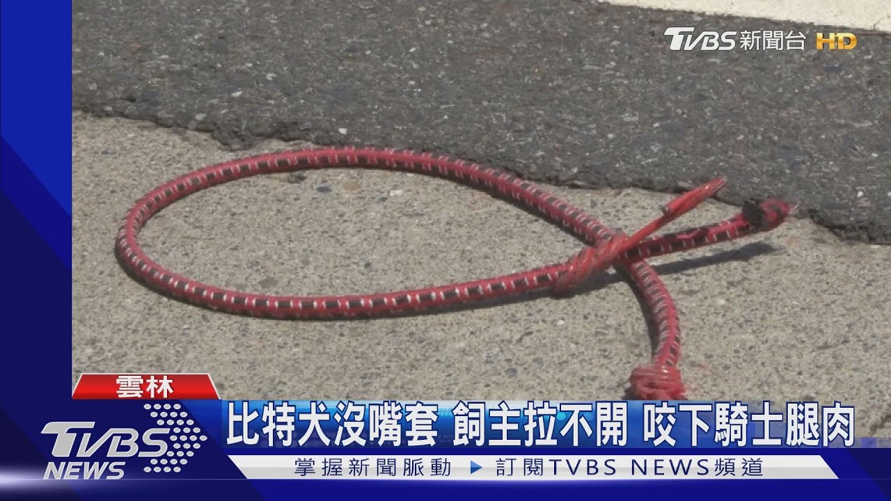 比特犬沒嘴套飼主拉不開 咬下騎士腿肉