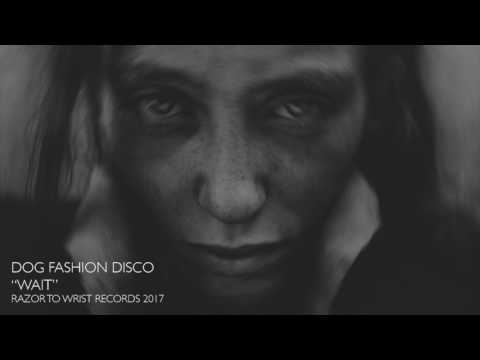 Dog Fashion Disco — "Wait" (OFFICIAL AUDIO)