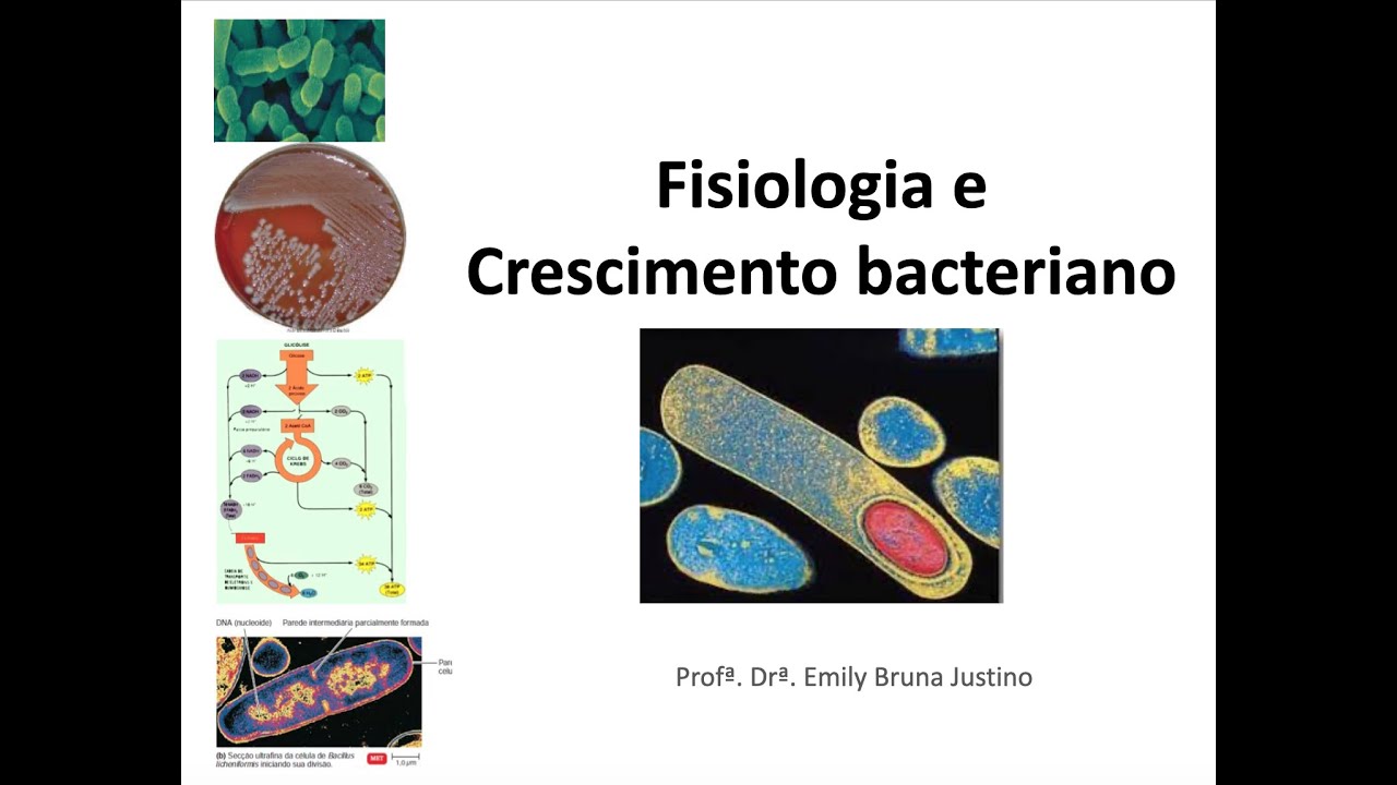 Fisiologia e Crescimento Bacteriano