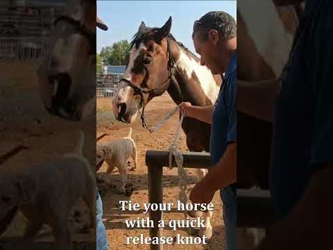 , title : 'How to tie a horse with a quick release knot
