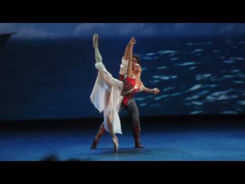 Ivan Vasiliev & Ekaterina Borchenko   Le Corsaire 2015  FPdd