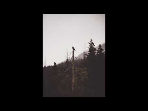 СКРИПТОНИТ x TRUWER x QURT TYPE BEAT