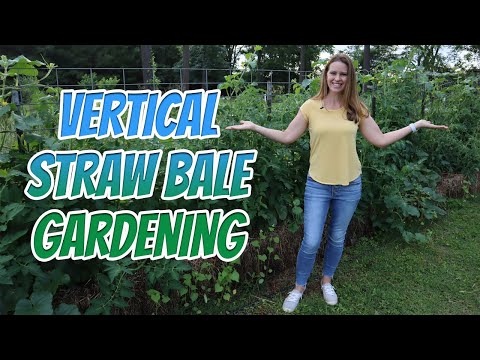 Vertical Straw Bale Gardening