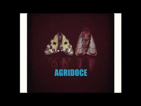 Agridoce - 130 Anos