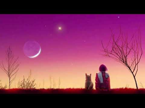 Hanin Dhiya - Where is the love (ft. NIve) Lirycs