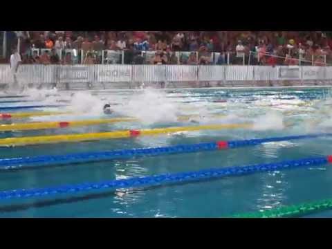 50 FARFALLA WILLIAM CAREDDU