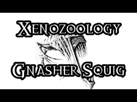 Xenozoology: Gnasher Squig - 40K Theories