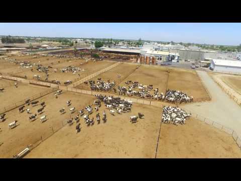 Aerial Views of Overland Stockyard