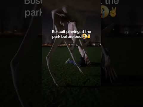 Biscuit playing at the park before bed😭🙏🥀 | #dogmemes #dogs #jokememes #relatablevideos