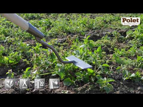 Polet Traditional hand-forged scuffle hoe Limburg (ART. PT0390121H)