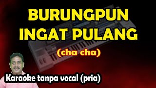 Download lagu Burungpun ingat pulang karaoke versi cha cha - nada pria mp3