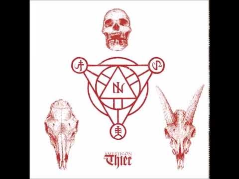 Amestigon - Hochpolung (High Polarity)