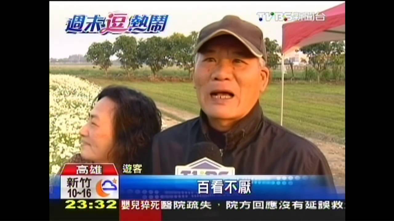 溫度回暖！南部各縣市花海燦爛　萬頭攢動