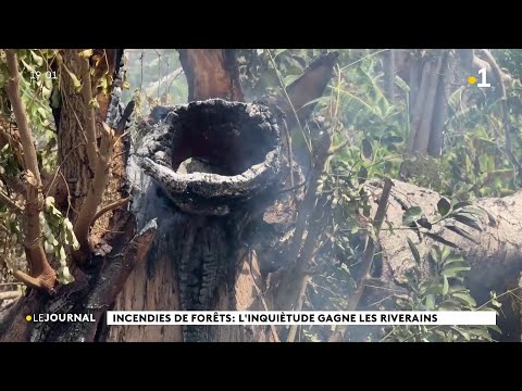 Incendies de forêts : l’inquiétude gagne les riverains