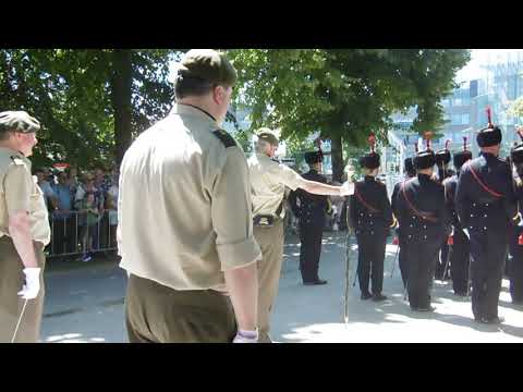 Veteranendag 2019 #428