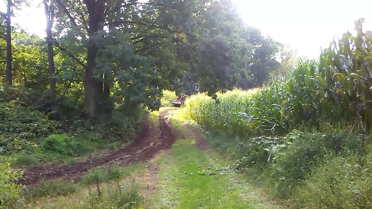 50 yr. Old Lil' Skidder