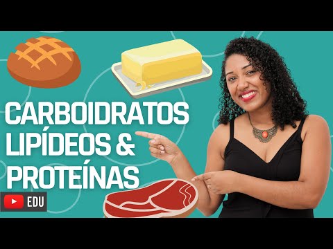Aula: Carboidratos,lipídios e proteínas