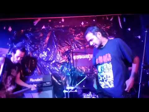 Cacasonica La Puta Vengadora Live En La Fiesta De Onanizer