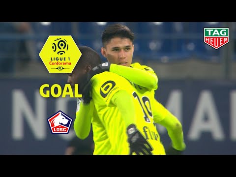 Goal Luiz ARAUJO (90' +3) / SM Caen - LOSC (1-3) (SMC-LOSC) / 2018-19