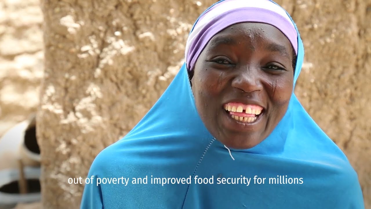 How can we fix global food systems?