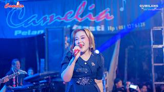 Download lagu CAMELIA MUSIC - ASMARA - EVA AQUILA - PARTY JALARA HAPPY X CAKRA - SOMOSARI BATEALIT JEPARA mp3