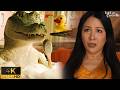 Parents Shocked By Lyle S First Appearance Lyle Lyle Crocodile