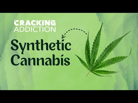 What is Synthetic Cannabis (Fake Weed)? Effects, Dangers & Why It’s Deadly | MedHeads Explains