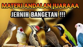 Download lagu MASTERAN MURAI BATU FULL ISIAN KOMBINASI JOSSS TEMBAKAN ANDALAN SUARA JERNIH MUDAH DITIRUKAN !!! mp3