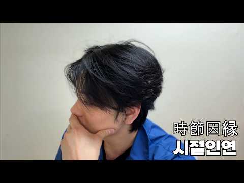 비디오 18
