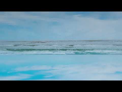 COPY 2.0 - Planet of Blue (Leon Cover)