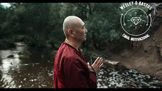 O POO E A PEDRA #MOTIVAO  #MOTIVACAO